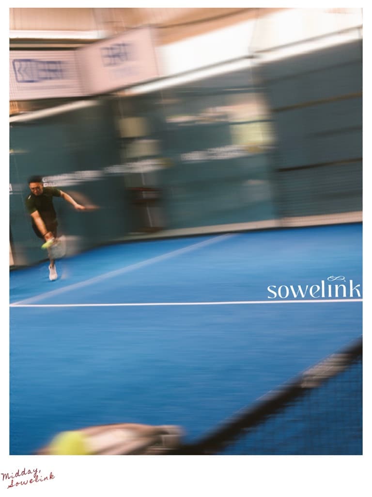 sowelink media 2