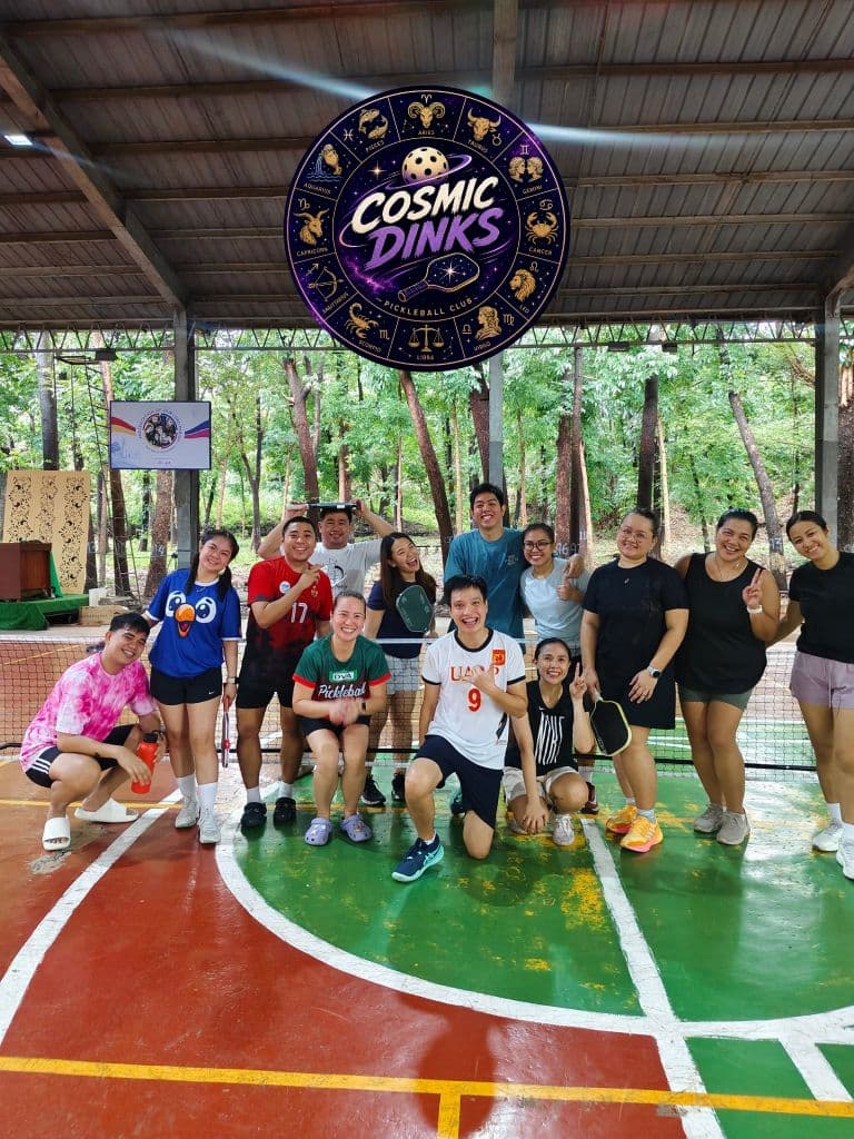 Cosmic Dinks media 3