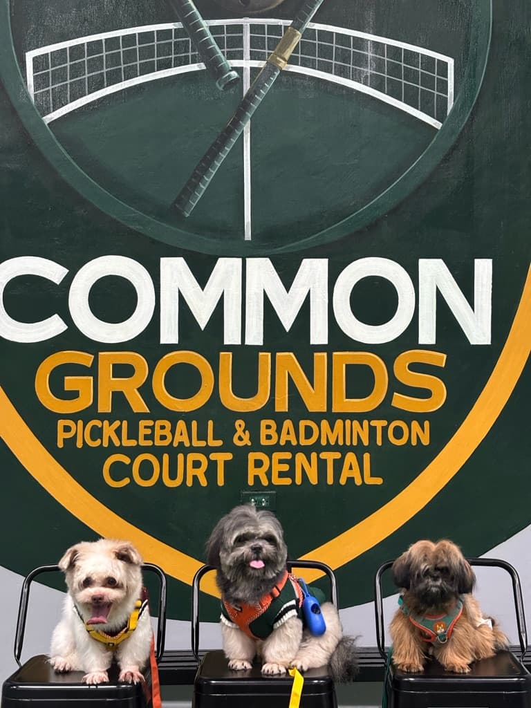 Common Grounds Pickler Club media 3