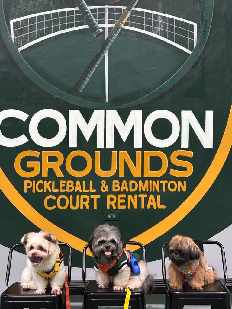 Common Grounds Pickler Club media 1