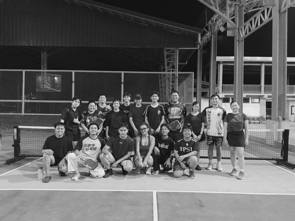 Swing & Dink media 1