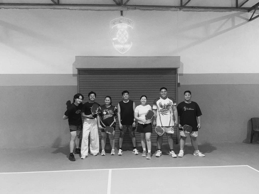 Swing & Dink media 6