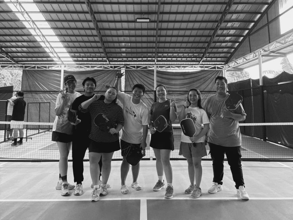Swing & Dink media 5