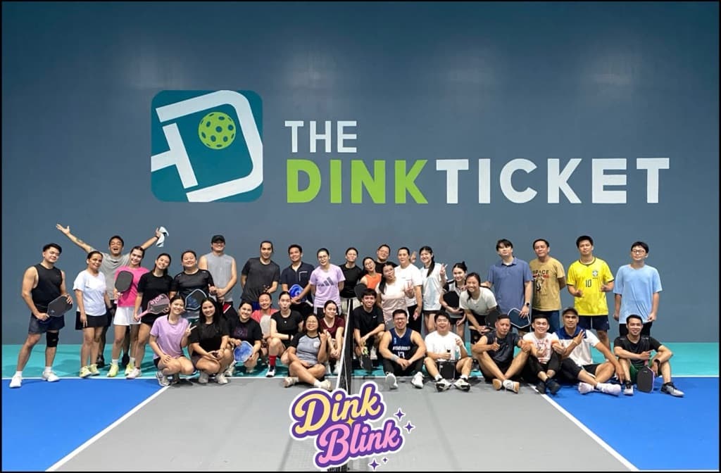 Dink Blink  media 3