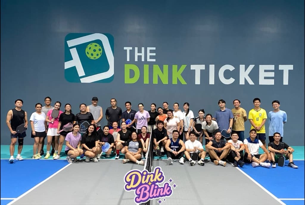 Dink Blink  media 4