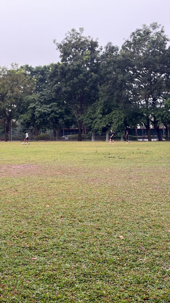 DesaPark United media 1