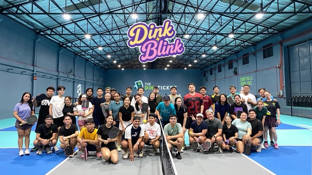 Dink Blink  media 2