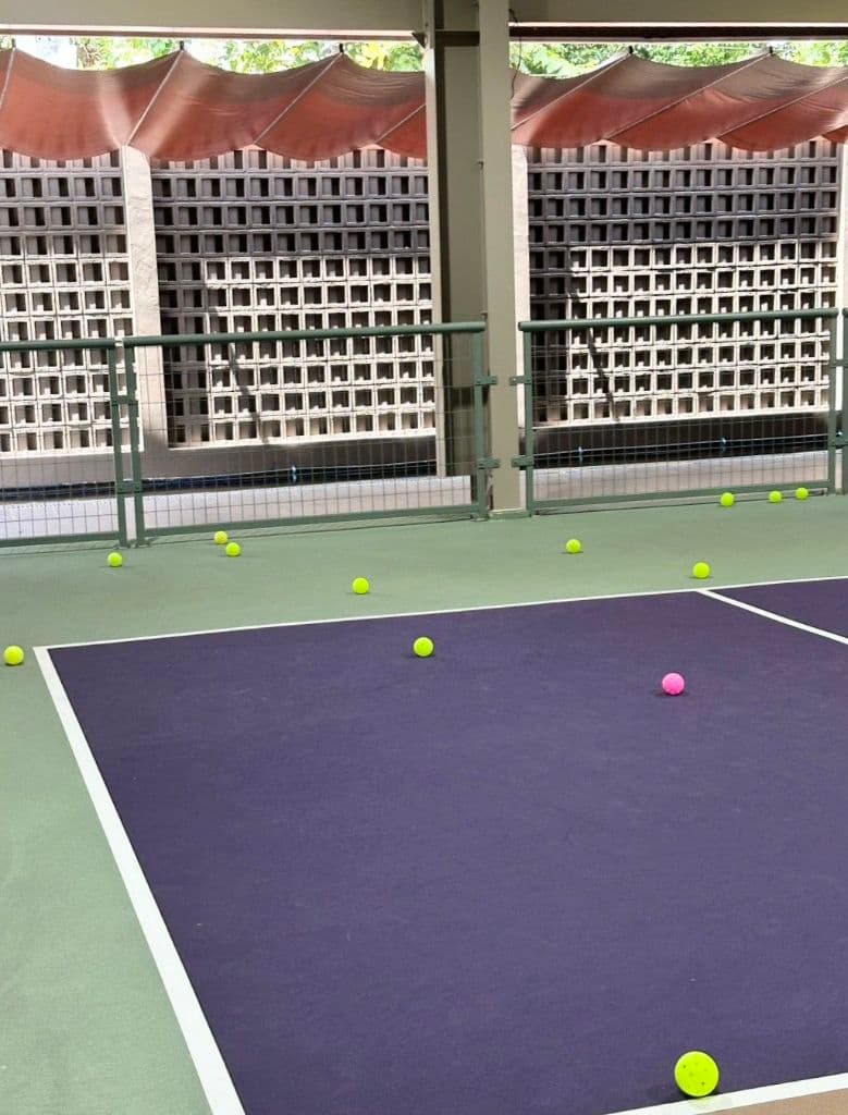 TG Pickleball Club and Friends media 1