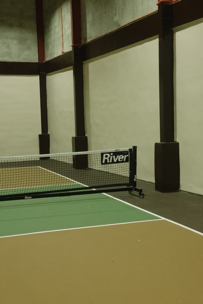 PICKLE THE BALL  media 1