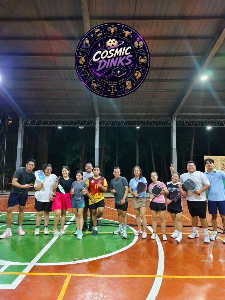 Cosmic Dinks media 2