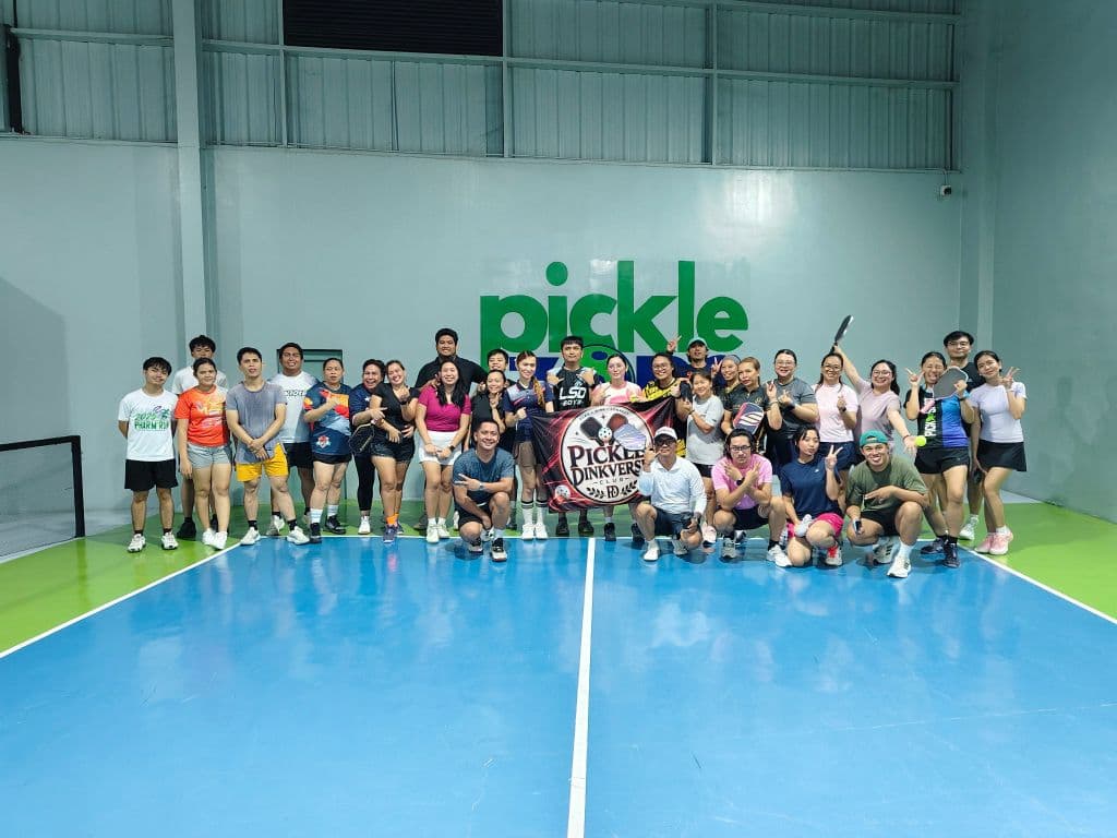 Pickle Dinkverse media 2