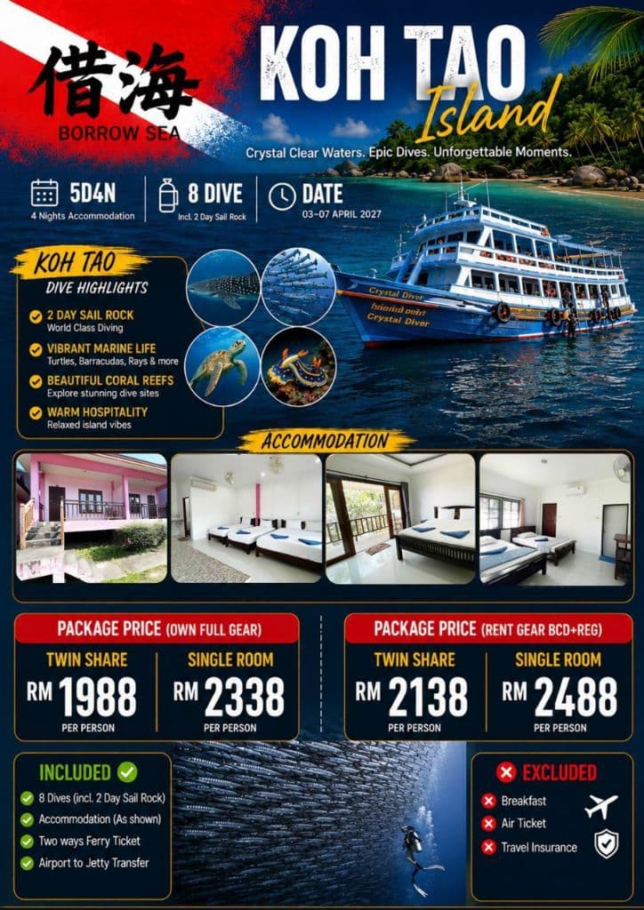Sea Borrowers Diving Club media 1