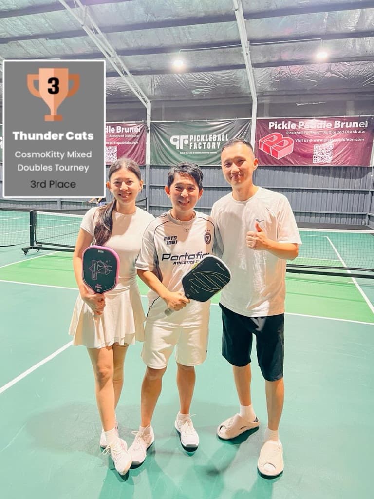 CosmoKitty Smashers 😼🏓 media 1