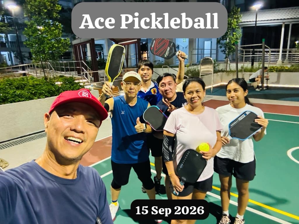 🎾 ACE PickleBall media 3