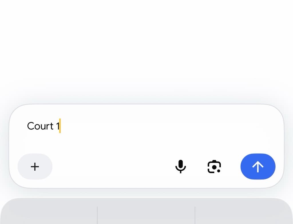 Court 1 (Basic) 🥒🏀 media 1