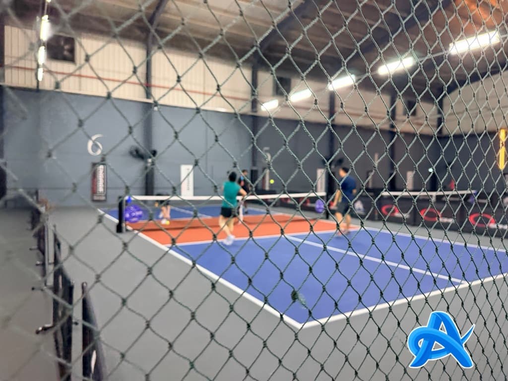 Achievers Pickleball Network (APN) media 1