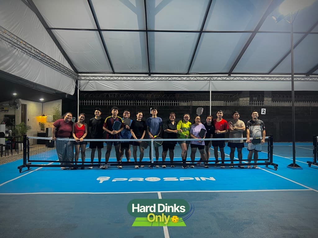Hard Dinks Only media 3