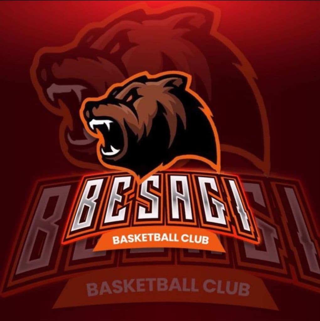 BESAGI media 1