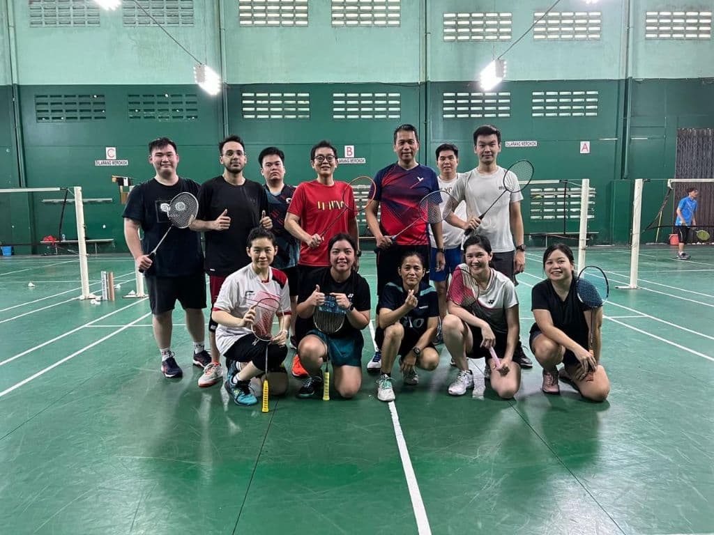 Goodminton media 4