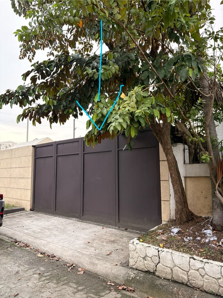 1 Peter Sports Club at Kingsville media 1