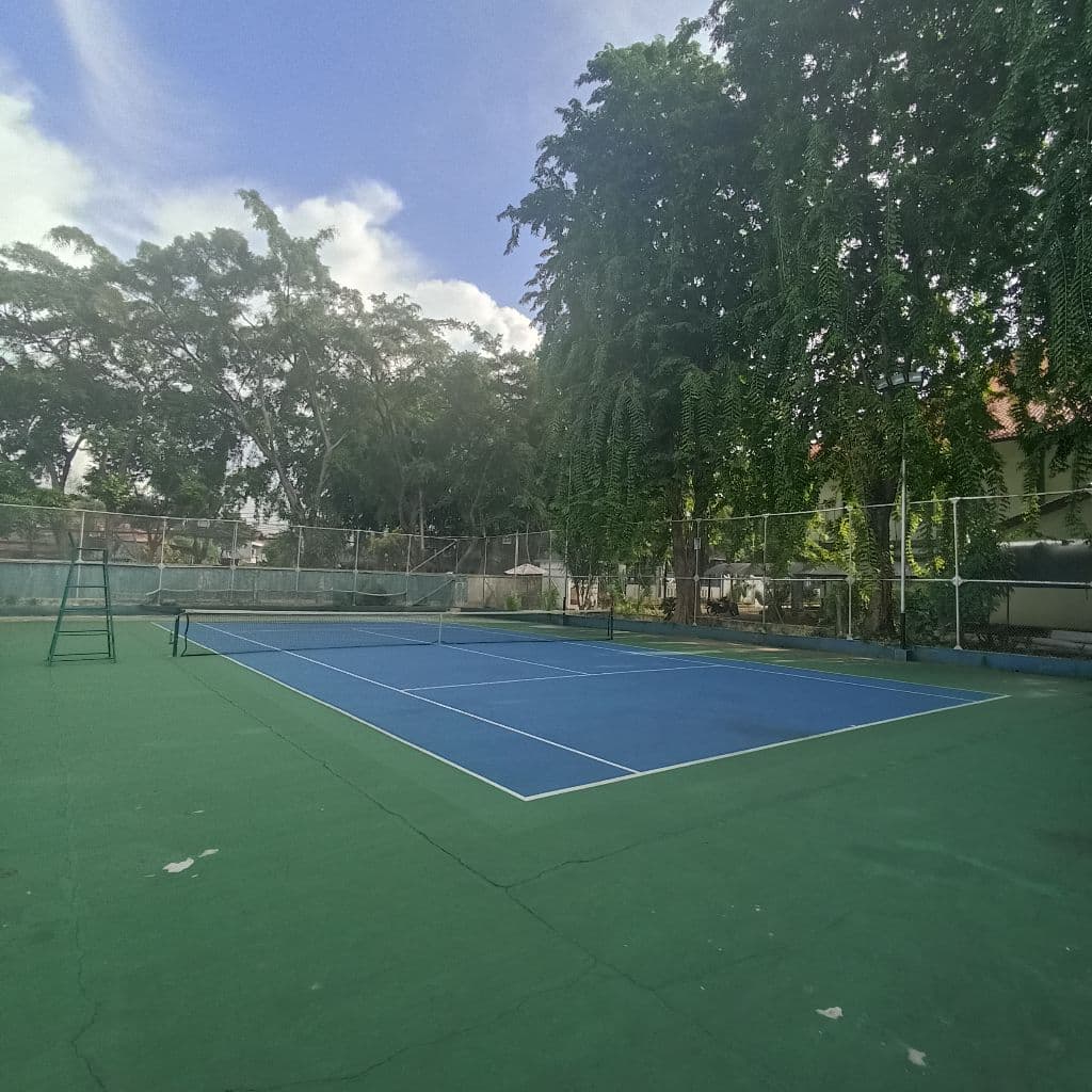 Cross Tennis media 5
