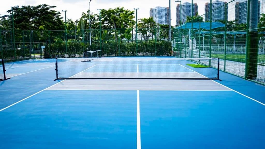 NewBorn Pickleball media 6