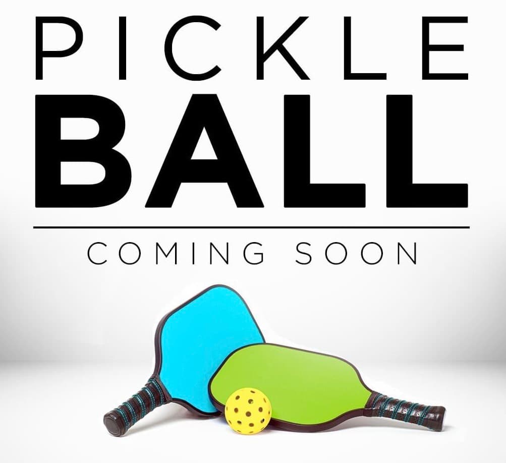 THAO DIEN PICKLEBALL media 1