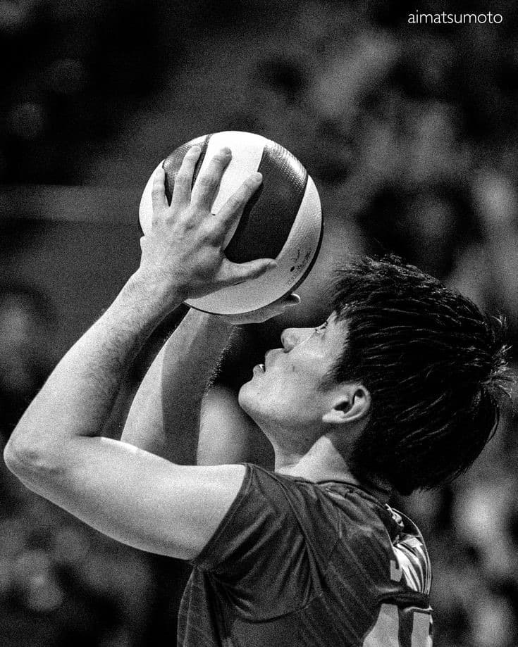 Volly Polly media 1