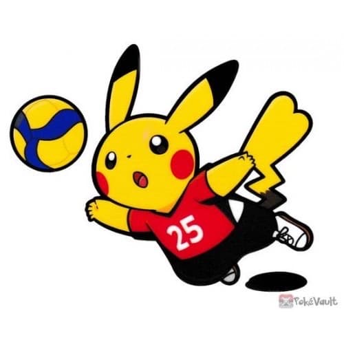 Thundershock vball media 3