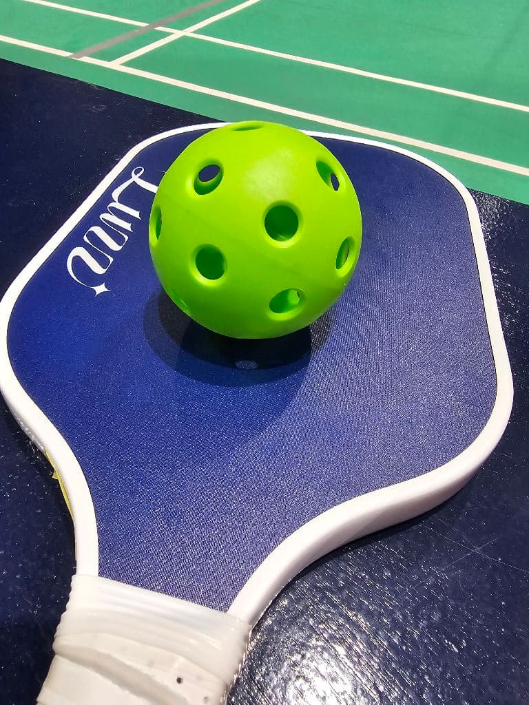 Pick~a~ball media 1