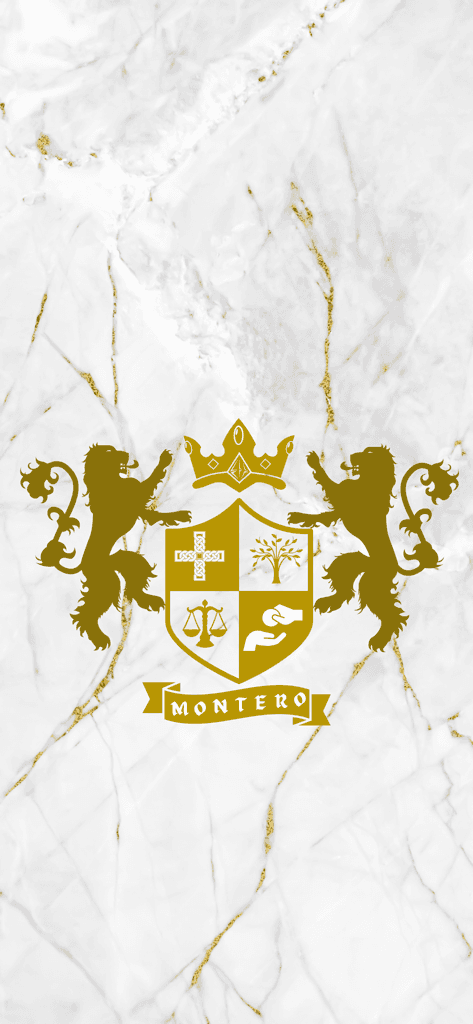 OLD MONEY  media 1