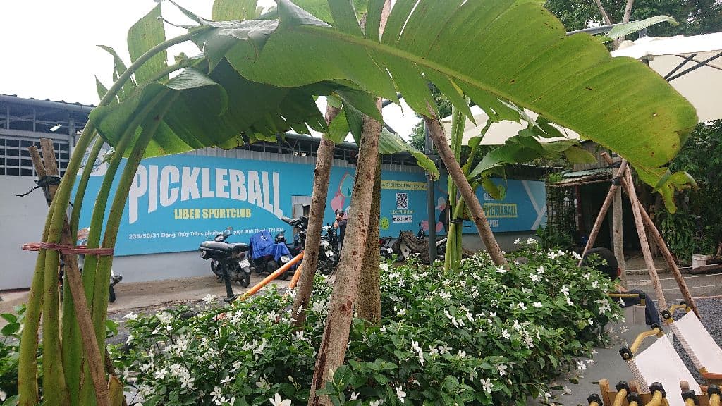 Pickleballs friend media 1
