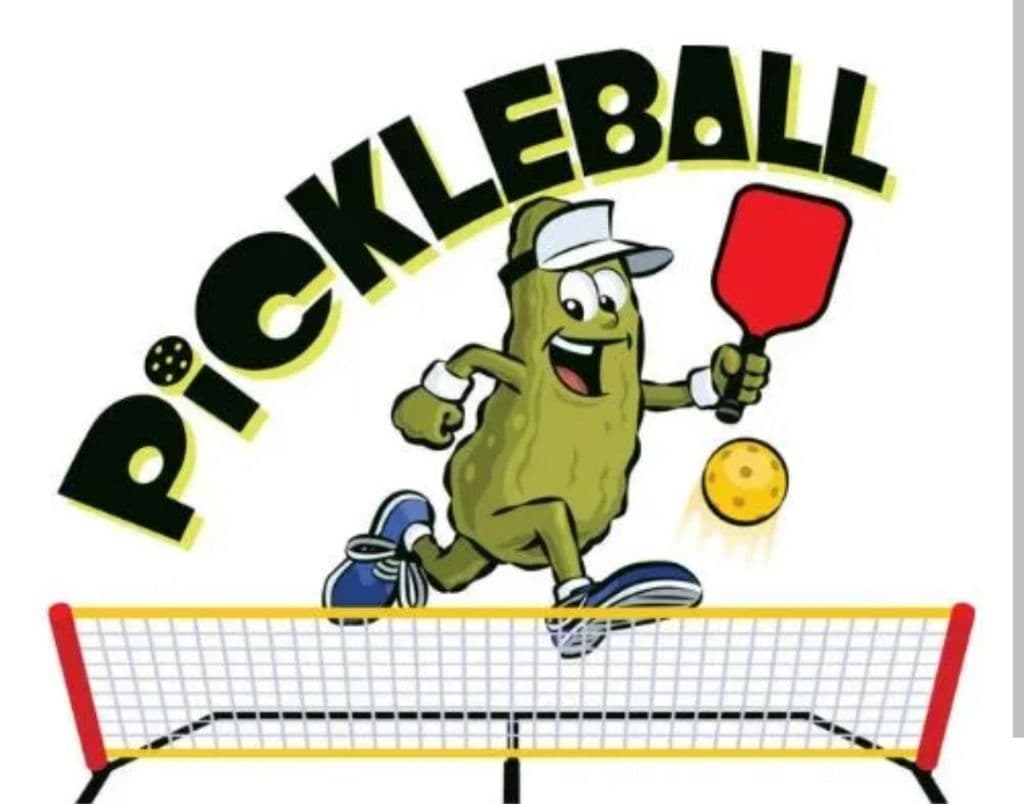 Fun & Learn Pickleball Club - Klang Valley media 1