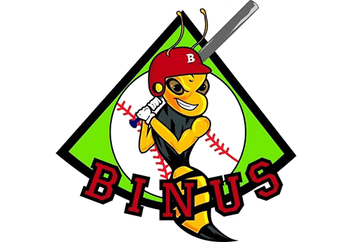 Binus Softball Baseball Club (BNSC Reborn) media 1