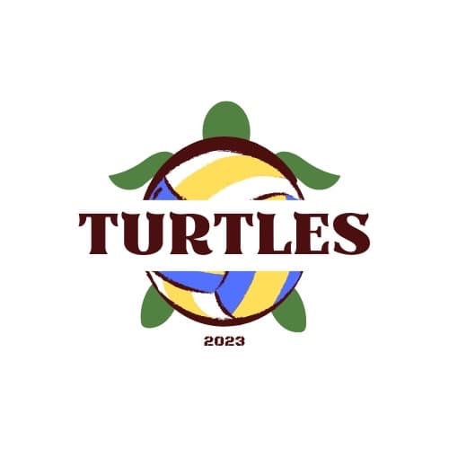 Turtles🐢  media 3