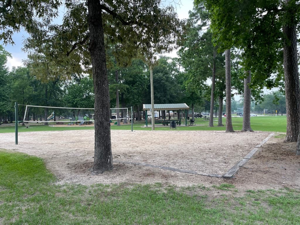 Collins Park Spring Sand Volleyball pickup games media 1