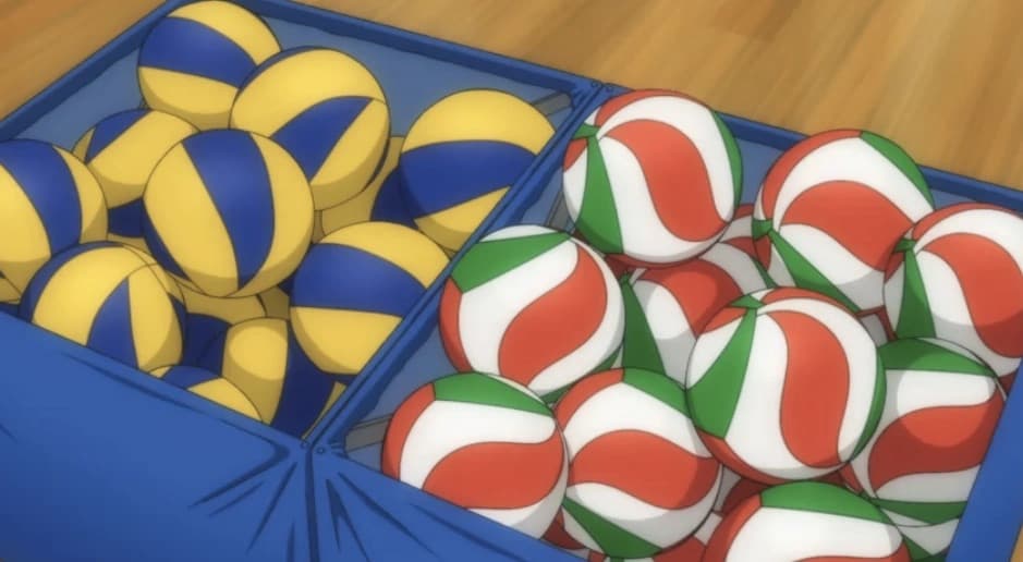 C1 Plus Volleyball media 1