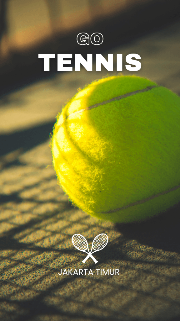 GoTennis media 2