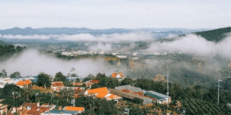 Cầu lông Đà Lạt media 1