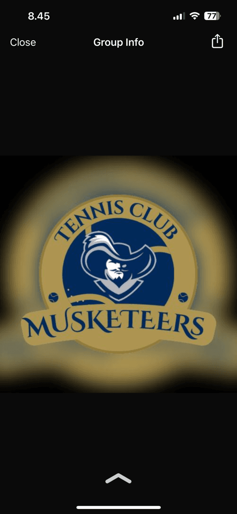 Tennis Musketeers  media 1